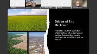 Webinar 1 Loss and Recovery of Forest Birds