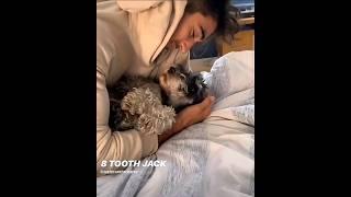 Taylor Zakhar Perez being adorable with his pet