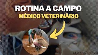 Um dia comigo: rotina de um médico veterinário a campo | M.V André Simon