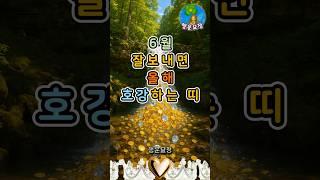 6월 잘보내면 올해 호강하는 띠 #운세 #사주 #해몽 #풍수 #명언 #귀인 #오늘의운세 #주간운세 #월간운세 #띠별운세 #좋은기운 #행운 #복 #돈복 #재물복 #부자 #만사형통