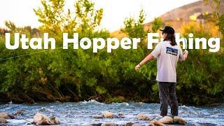 Fly Fishing Utah's Most Underrated River