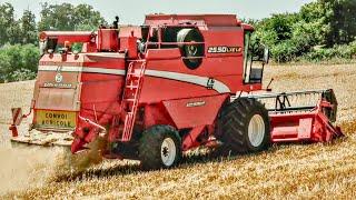 Moisson 2024 LAVERDA 25.50 LXE LS (Haute-Garonne)