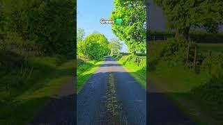 Peaceful Road Through Ireland’s Countryside 