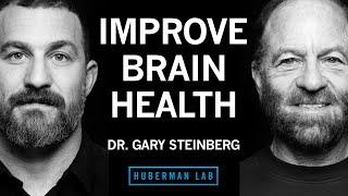 Dr. Gary Steinberg: How to Improve Brain Health & Offset Neurodegeneration