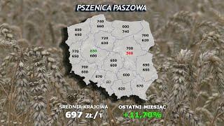 #253 agro wiadomości nonstop - 14.05.2024