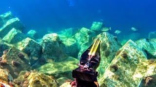 ΤΕΡΑΣΤΙΟΙ σαργοί στα ΡΗΧΑ με ψαροντούφεκο -  Spearfishing HUGE sargos in SHALLOW waters