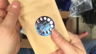 Whimsical Spruce Bedtime Stories Unboxing!