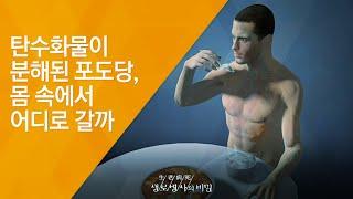 탄수화물이 분해된 포도당, 몸 속에서 어디로 갈까 - (20140827_514회 방송)_살 빠지는 밥의 힘! 쌀 다이어트