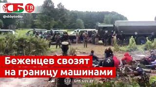 Поляки силой привозят афганцев к границе Беларуси | Жестокость и насилие к мигрантам в Польше