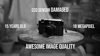This 15 year old camera with damaged CCD sensor keeps blowing me away - Leica M9 with corrosion