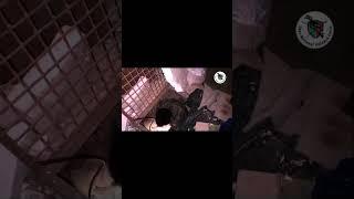 Falam Vankau Tlang ih SAC ralhrang khah Lah Yah (268) leikua sungih an um nak pukpi sung a turu nasa