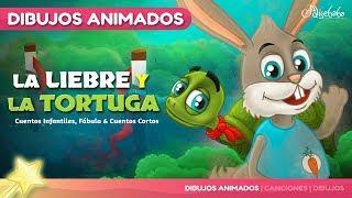 La Liebre y la Tortuga cuentos infantiles para dormir & animados