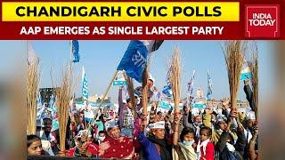 Chandigarh Civic Polls: AAP Springs Surprise, BJP Jolted In Polls | India Today