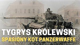 Tygrys Królewski - spasiony kot Panzerwaffe.