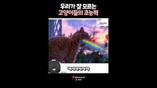 우리가 잘 모르는 고양이들의 초능력 