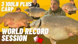 3 100lb CARP | WORLD RECORD CARP FISHING SESSION