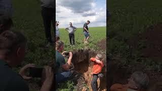 Почвенный разрез: почему надо копать глубже? (Часть 2) #сельскоехозяйство #farming #почва #агроном