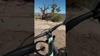 Moab Mountain Biking! #mtb #mountainbiking #moab #shorts