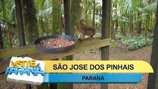 Visite Paraná: São José dos Pinhais