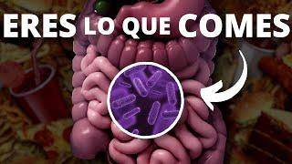 Las bacterias de tu intestino afectan a tu cerebro