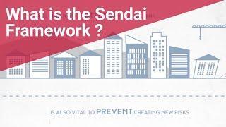 Sendai Framework Priority 4: Build Back Better