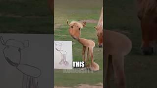 Animals in Real Life If They Were Drawn by Kids!  Part 4 ️