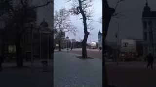 #shorts Искусство жить на пенсии. Жизнь в Болгарии как она есть.