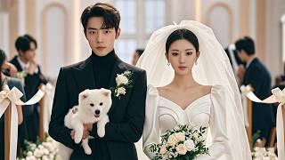 A poor girl got pregnant after getting drunk and married a billionaire CEO!Movie #zhaolusi