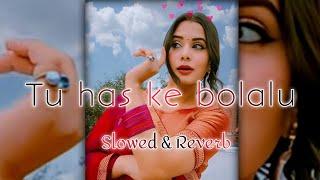 Tu_haske_bolalu_ye_jaan_Lofi__old_version. Slowed__reverb_Bhojpuri_mix_songs.