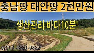 충남땅 태안땅 2천만원 바다10분 생산관리 서울1시간40분 도로전기포함 투자수익가능 귀농귀촌 나만의텃밭 과일채소 주말농장힐링 농막휴식 전원주택 편안한전원생활 경매땅공매땅
