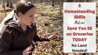 Save Money on Groceries TODAY with these Homesteading Skills (no land needed!)