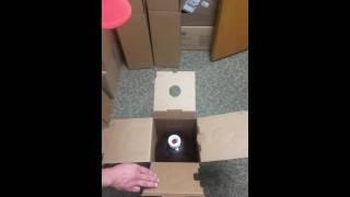 Petainer Keg Classic in a box (Box top assembly)