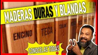 Tipos de MADERA duras y blandas  Como elegir MADERAS FINAS y sus costos