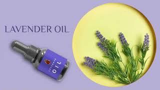 Lavender Essential Oil Manufacturer