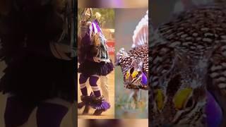 dancer zaouli vs ave zaouli, zaouli bird, sharp tail grouse #art #baile #cute #duet #yt