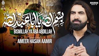 Nohay 2024 | Bismillah Ya Aba Abdillah | Ameer Hasan Aamir Noha 2024 | Noha Hazrat Ali Akbar (a.s)