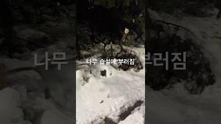 여기 주차하면 큰일나요