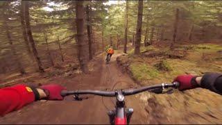 SLAPPED BICYCLE #7 Tree Hug on MTB