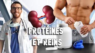 PROTÉINES ET REINS : BROSCIENCE ? (la réponse va vous surprendre)