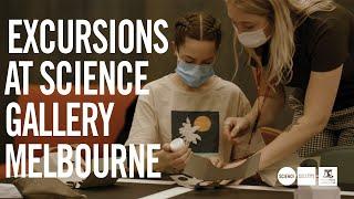Regional Victorian students visit Science Gallery Melbourne