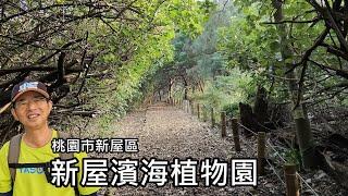 Newly completed in 2023! Shinya Seashore Botanical Garden ~ Coastal forest bathing walking route