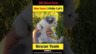 Rescue Team Saves 3 Baby Cat's  | JSK Short Facts | #shorts #ytshorts #humanity