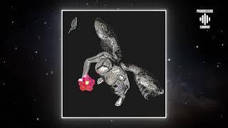 PREMIERE Michael A - Hunting Flowers (Original Mix) [Protagonist Recordings]