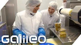 Selbstversuch: Der harte Job als Food-To-Go-Produzent | Galileo | ProSieben