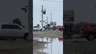 Car hits crossing bar!!