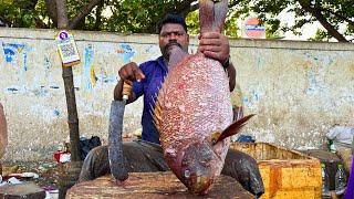 KASIMEDU  SPEED SELVAM | BIG KORALI FISH CUTTING VIDEO | IN KASIMEDU | FF CUTTING 