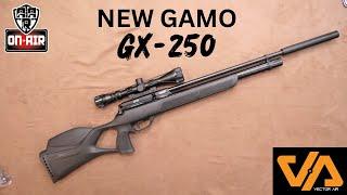 Gamo GX250