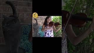 Shenandoah #playmusicontheporchday #meadowlarkviolin  #violin