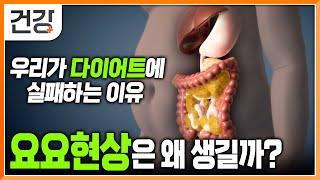 우리는 왜 매번 다이어트에 실패할까? |  요요현상 안 오게 하는 방법은? | 뱃살 빼는 법 | 명의