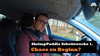 SHRIMPPUDDLE DIE ERSTE WOCHE